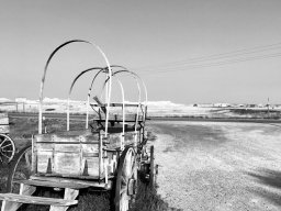 Old wagon, South Dakota